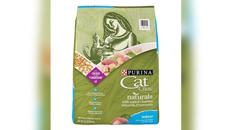 Best Cat Food for an Indoor Cat: Top Healthy and Natural Choices