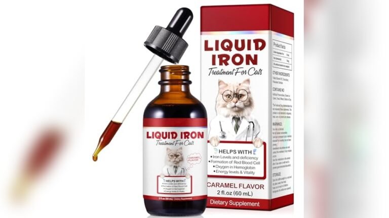 Best Cat Food for Anemic Cats: Top Iron-Rich Nutrition Picks