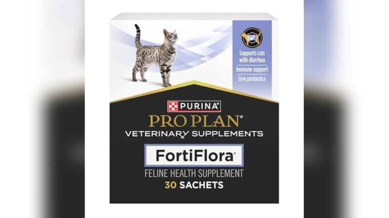 Best Cat Food for Chronic Diarrhea