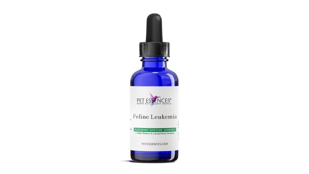 Best Cat Food For Feline Leukemia: Top Nutritional Choices For Cats