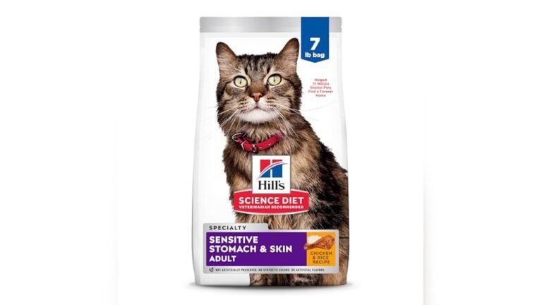 Best Cat Food for Older Cats With Sensitive Stomachs: Top Picks Reviewed
