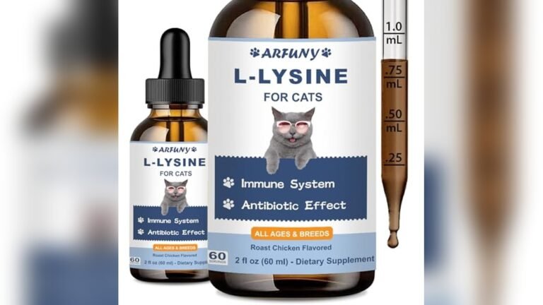 Best Cat Food for Respiratory Issues: Top Immune Support Choices