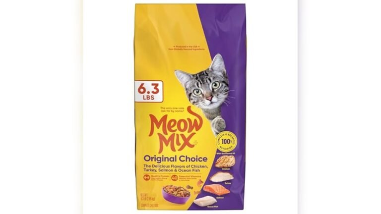 Best Cheap Dry Cat Food Options for Healthy, Happy Cats
