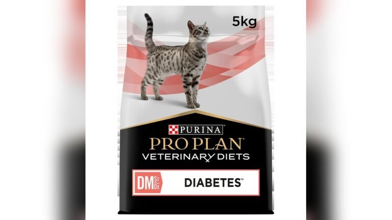 Best Dry Cat Food for Diabetes: Top Healthy Picks Revealed