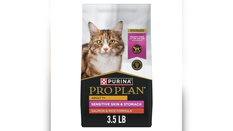 Best Dry Cat Food for Senior Cats With Sensitive Stomachs: Top Picks