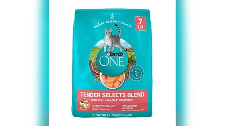 Best Dry Cat Food That is Soft: Top Tender and Tasty Choices
