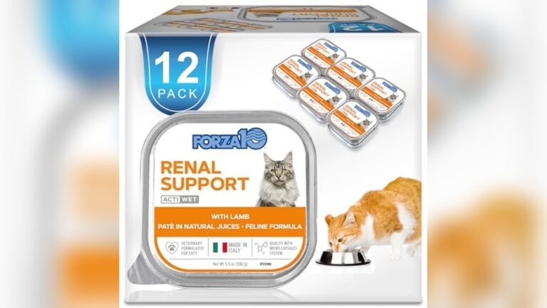Best Food for Cat With Kidney Disease: Top Vet-Recommended Choices
