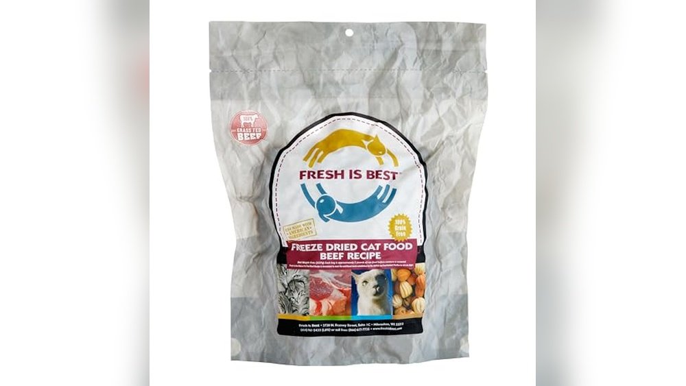 Best Fresh Food For Cats: Top Grain-Free, High-Protein Choices