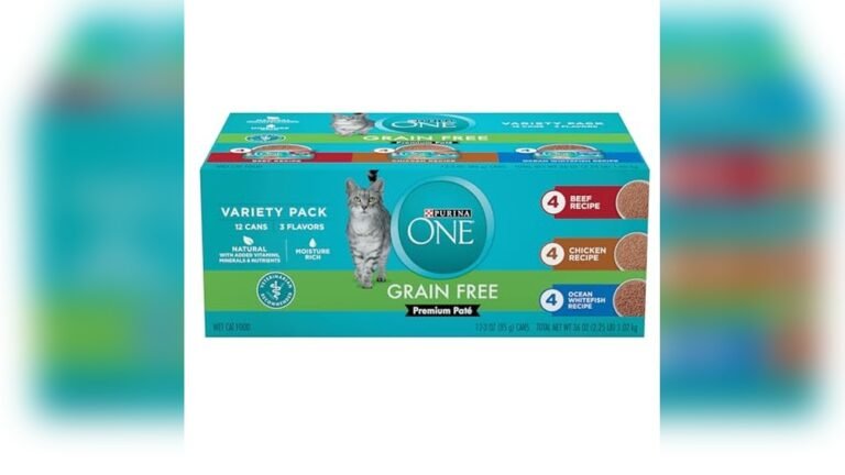 Best Grain Free Canned Cat Food: Top Picks for Healthy Cats
