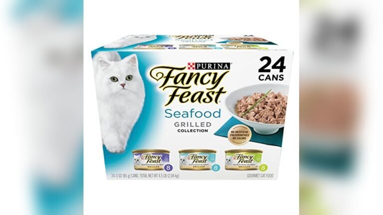 Best Grocery Store Cat Food: Top Picks for Nutritious Feline Meals