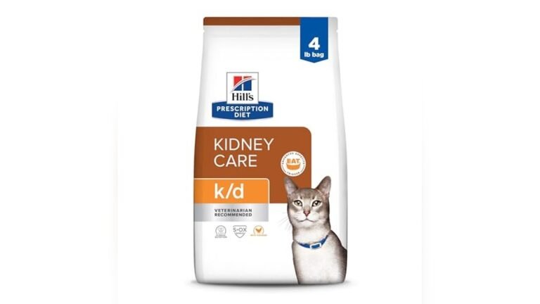 Best Kidney Food for Cats: Top Vet-Approved Choices for Kidney Health