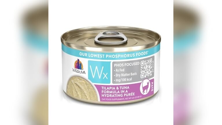 Best Low Phosphorus Cat Food for Kidney Health and Optimal Nutrition