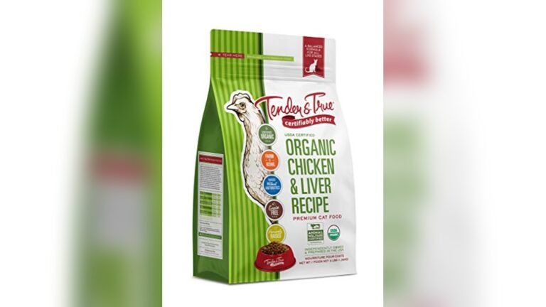 Best Organic Dry Cat Food for Healthy, Happy, and Active Cats