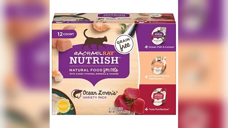 Best Rated Wet Cat Food