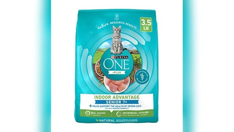 Best Soft Dry Cat Food for Seniors: Top Nutritious Picks Reviewed