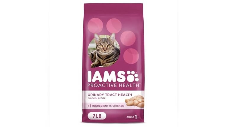 Best Urinary Dry Cat Food for Healthy and Happy Cats