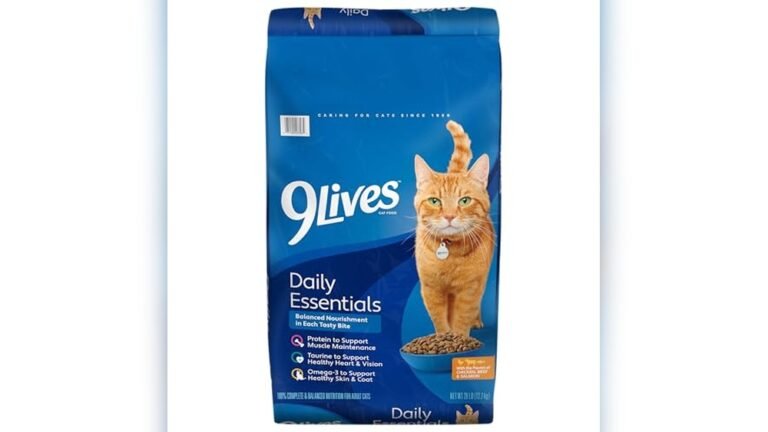 Best Value Dry Cat Food: Top Affordable Picks for Healthy Cats
