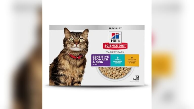 Best Wet Cat Food for Allergies: Top Sensitive Skin & Stomach Picks