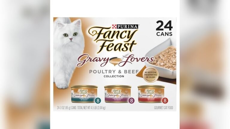 Best Wet Cat Food for Finicky Eaters: Top Gourmet Variety Packs Reviewed