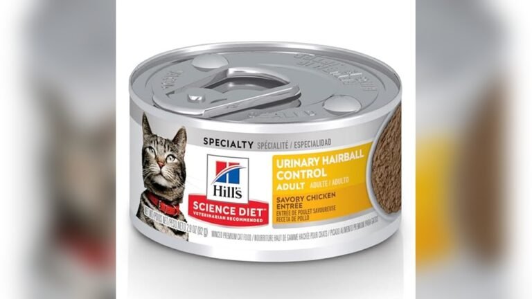 Best Wet Cat Food for Hairballs: Top Picks for Healthy Felines