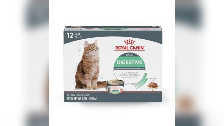 Best Wet Food for Cats With Pancreatitis