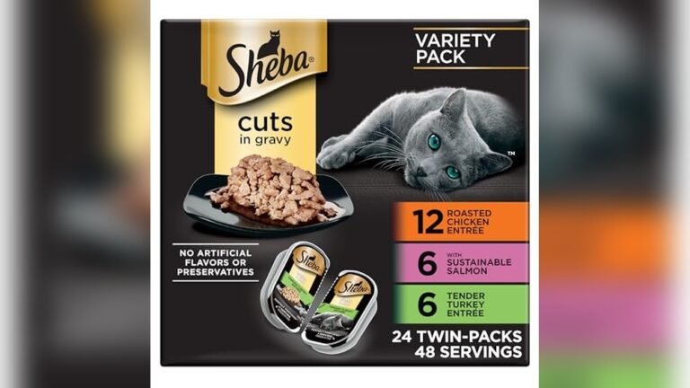 Best Wet Food for Cats With Sensitive Stomachs