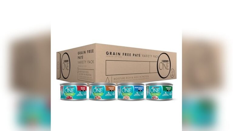 Best Wet Food for Diabetic Cats