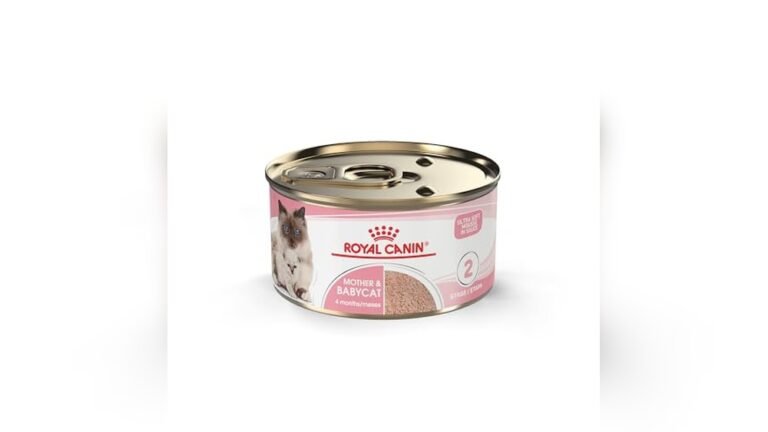 Best Wet Food for Nursing Cats: Top Picks for Healthy Moms