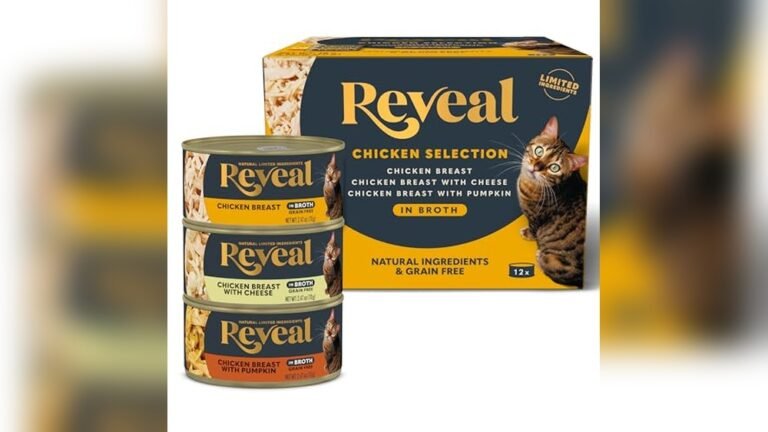 Best Wet Food for Savannah Cats