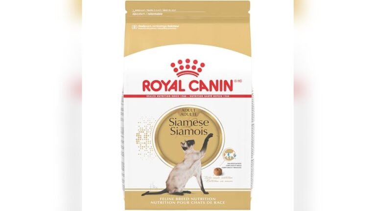 Best Wet Food for Siamese Cats: Top Nutritious Choices Reviewed