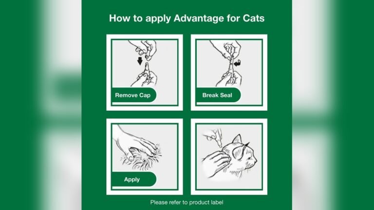 How to Apply Topical Flea Treatment to Cats: Easy Step-by-Step Guide