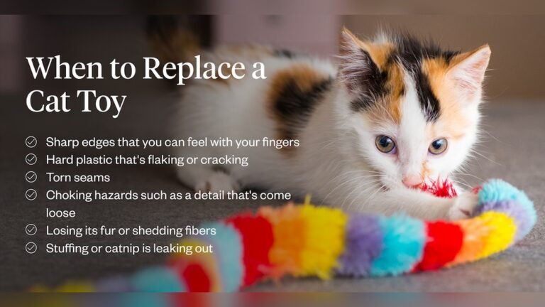 How to Clean Cat Toys: Easy Steps for a Safe Playtime