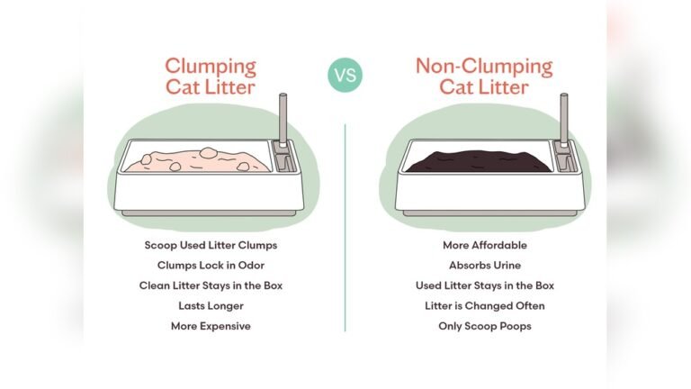 How to Clean Non Clumping Cat Litter: Easy & Effective Tips