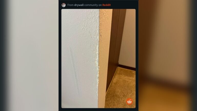 How to Get Cats to Stop Scratching Walls