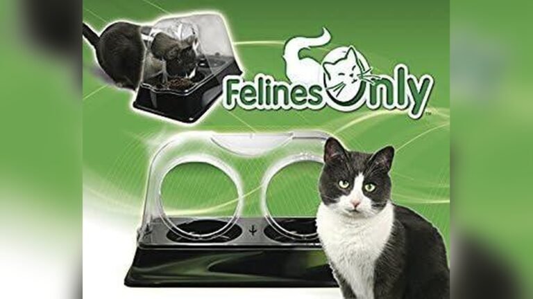 How to Get My Dog to Stop Eating Cat Food: Easy Expert Tips