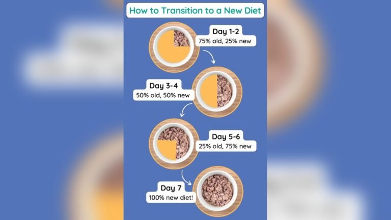 How to Get Your Cat to Eat Wet Food: Easy Tips That Work!