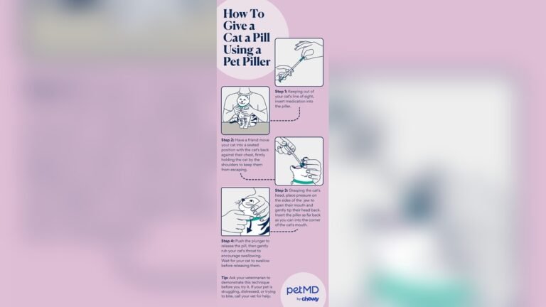 How to Give a Cat a Pill Without Food: Easy Tips That Work!