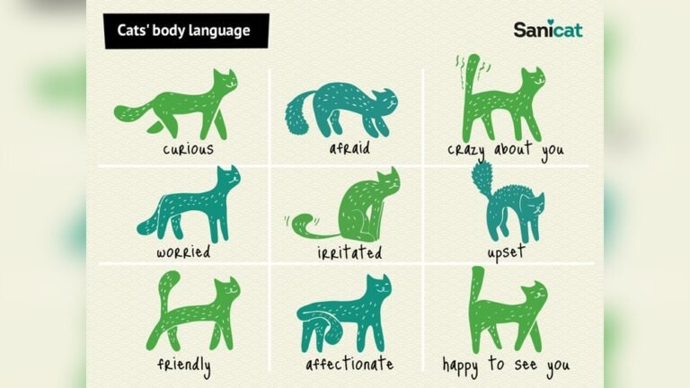 How to Make Cats Friends: Proven Tips for Instant Bonding