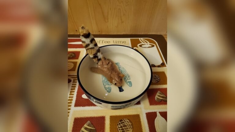 How to Stop Cat from Putting Toys in Water: Simple Effective Tips