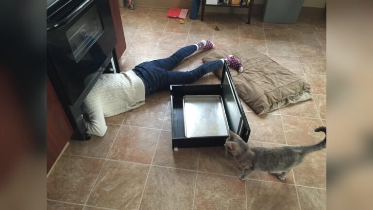 How to Stop Cat Toys from Going under Fridge: Easy Fixes That Work