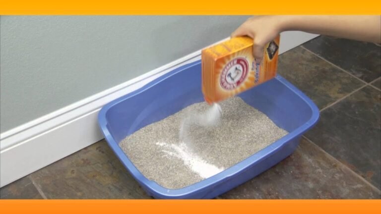 How to Use Baking Soda in Litter Box: Easy Odor Control Tips