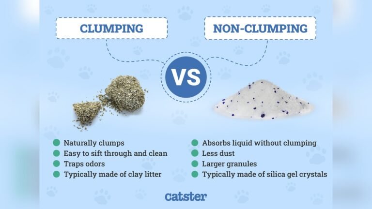 How to Use Non Clumping Cat Litter