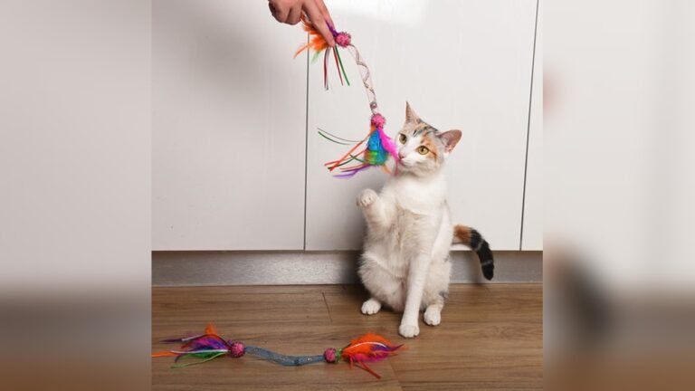 What Toys Do Cats Like: Top Picks for Endless Feline Fun