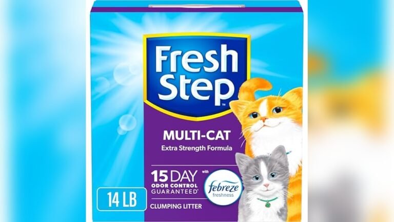 Best Affordable Cat Litter for Multi-Cat Homes with Odor Control