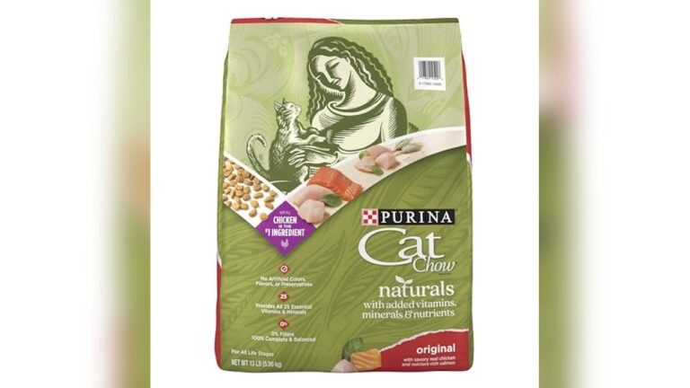 Best All Life Stages Cat Food for Healthy, Happy Cats Every Day