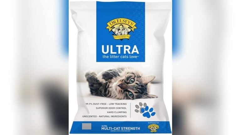 Best And Cheapest Cat Litter for Odor Control and Multi-Cat Homes