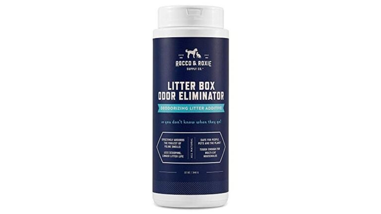 Best Cat Litter Boxes for Smell Control in 2026 Reviewed