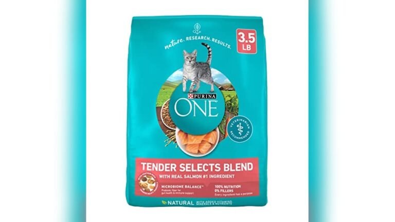 Best Dry Cat Food for Cats With No Teeth: Top Gentle Kibble Picks