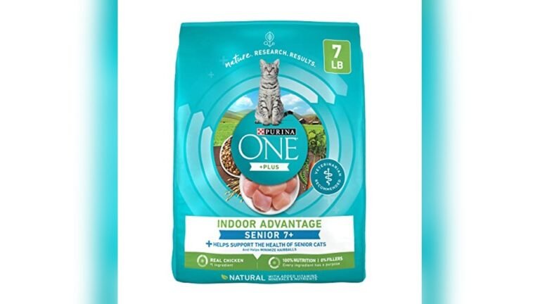 Best Dry Cat Food for Senior Indoor Cats: Top Picks for Health