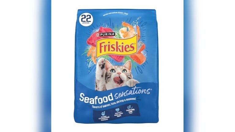 Best Dry Food for Outdoor Cats 2026: Top Picks for Healthy Pets